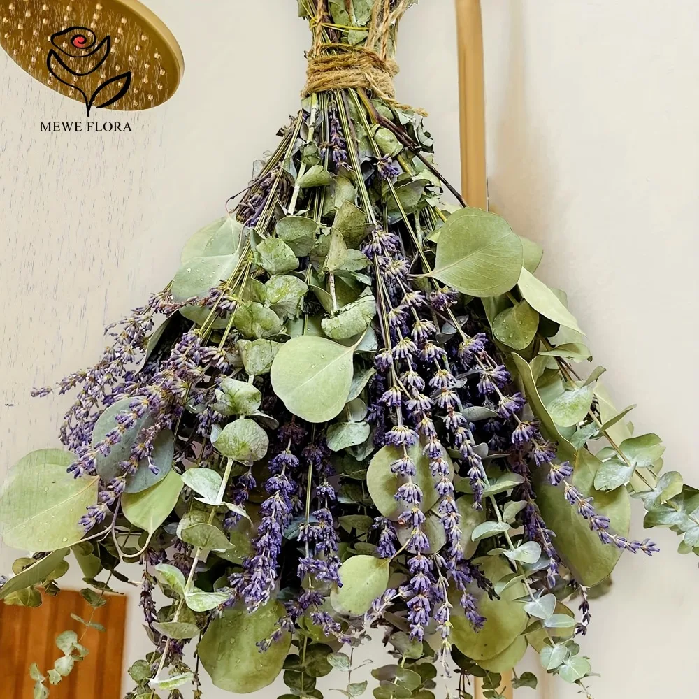 Eucalyptus Preserved - Fleurs séchées à l'aide de feuilles