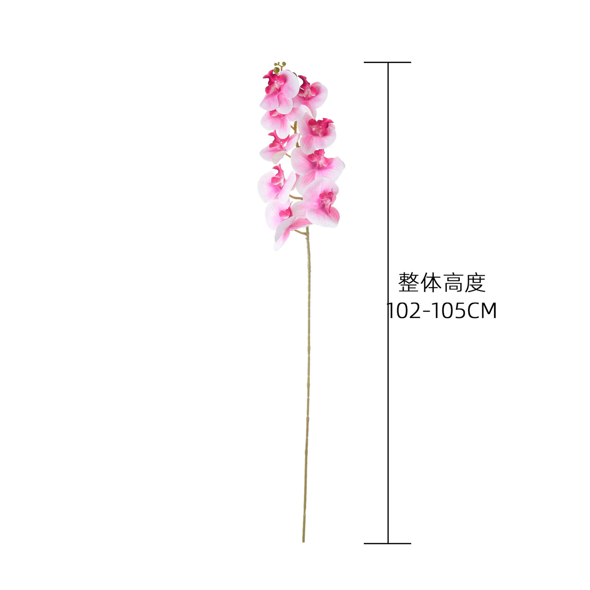 Orchidée Phalaenopsis artifici - Florist Supply Bulk avis et prix